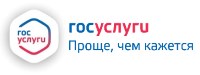 Госуслуги без очереди